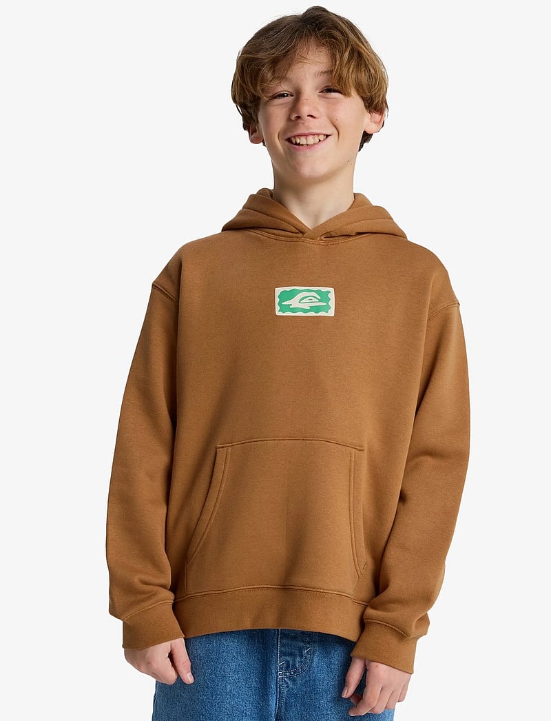 Quiksilver - GRAPHIC HERO HOODIE YOUTH - kapuzenpullover - tobacco brown - 0