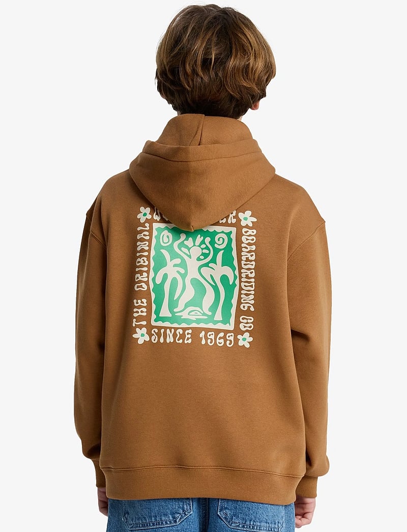 Quiksilver - GRAPHIC HERO HOODIE YOUTH - kapuzenpullover - tobacco brown - 3