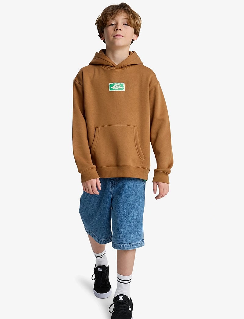 Quiksilver - GRAPHIC HERO HOODIE YOUTH - kapuzenpullover - tobacco brown - 4