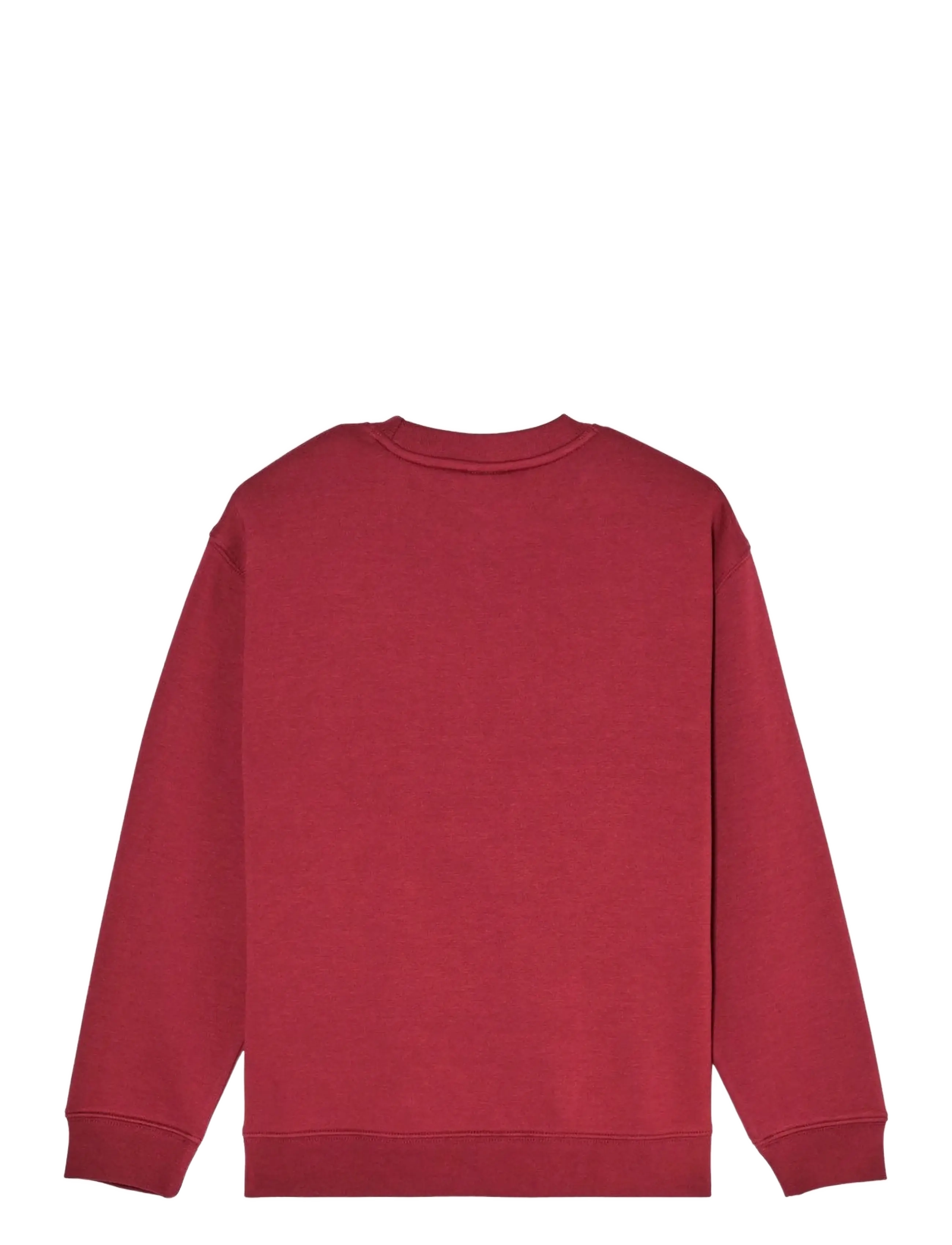 Quiksilver - GRAPHIC CREW OVERSIZED YOUTH - sweatshirts - oxblood red - 2