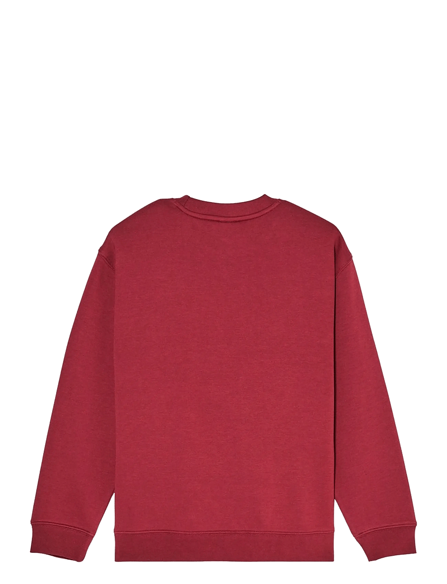 Quiksilver - GRAPHIC CREW OVERSIZED YOUTH - sweatshirts - oxblood red - 2
