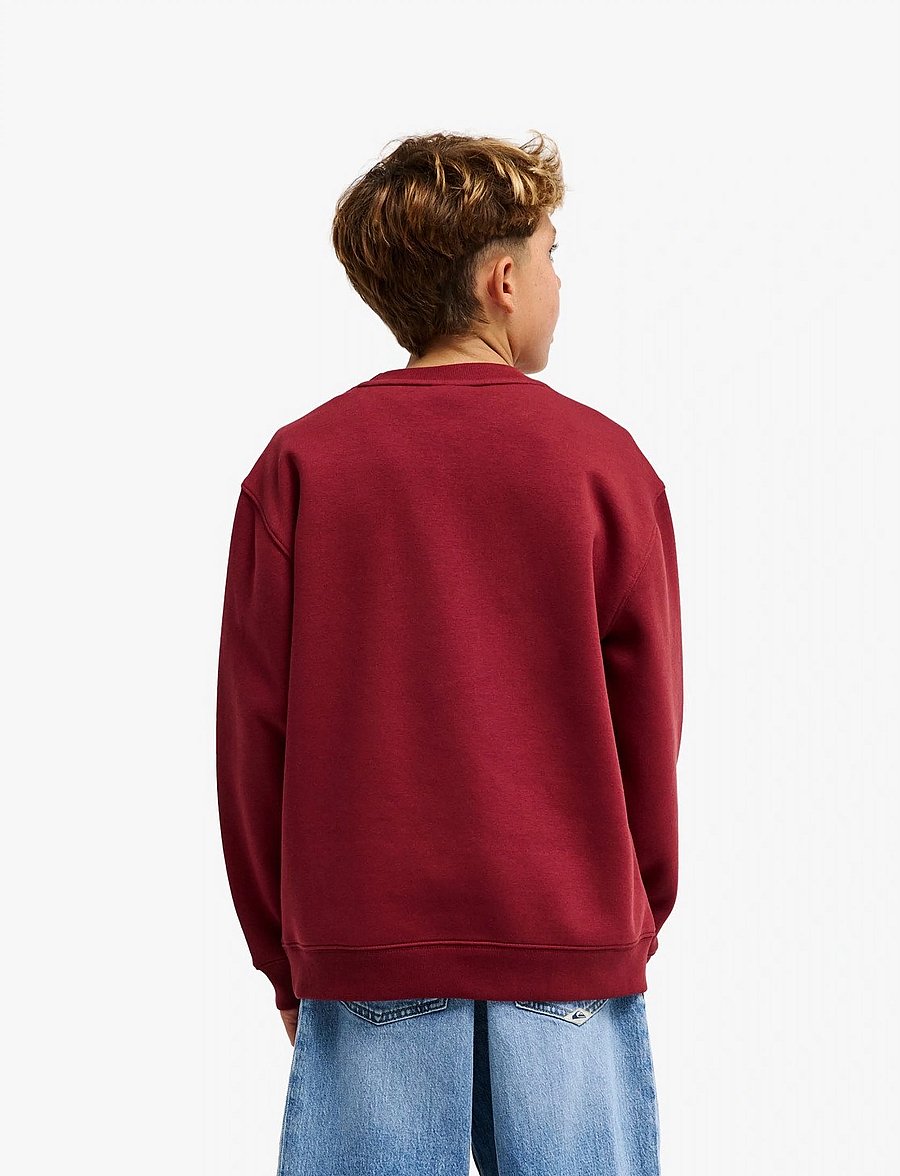 Quiksilver - GRAPHIC CREW OVERSIZED YOUTH - sweatshirts - oxblood red - 3