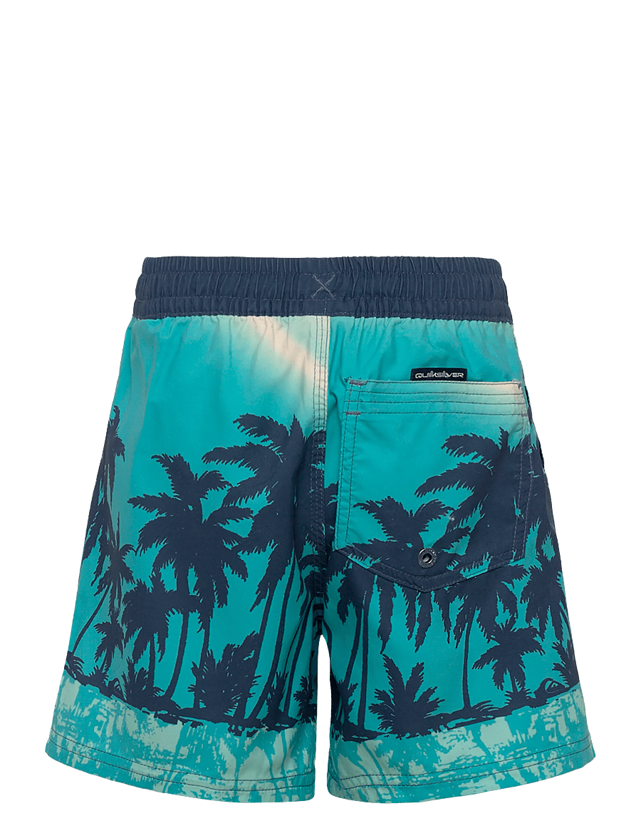 Quiksilver - EVERYDAY PRINTED VOLLEY YTH 14 - badebukser - aqua thermotropics - 2
