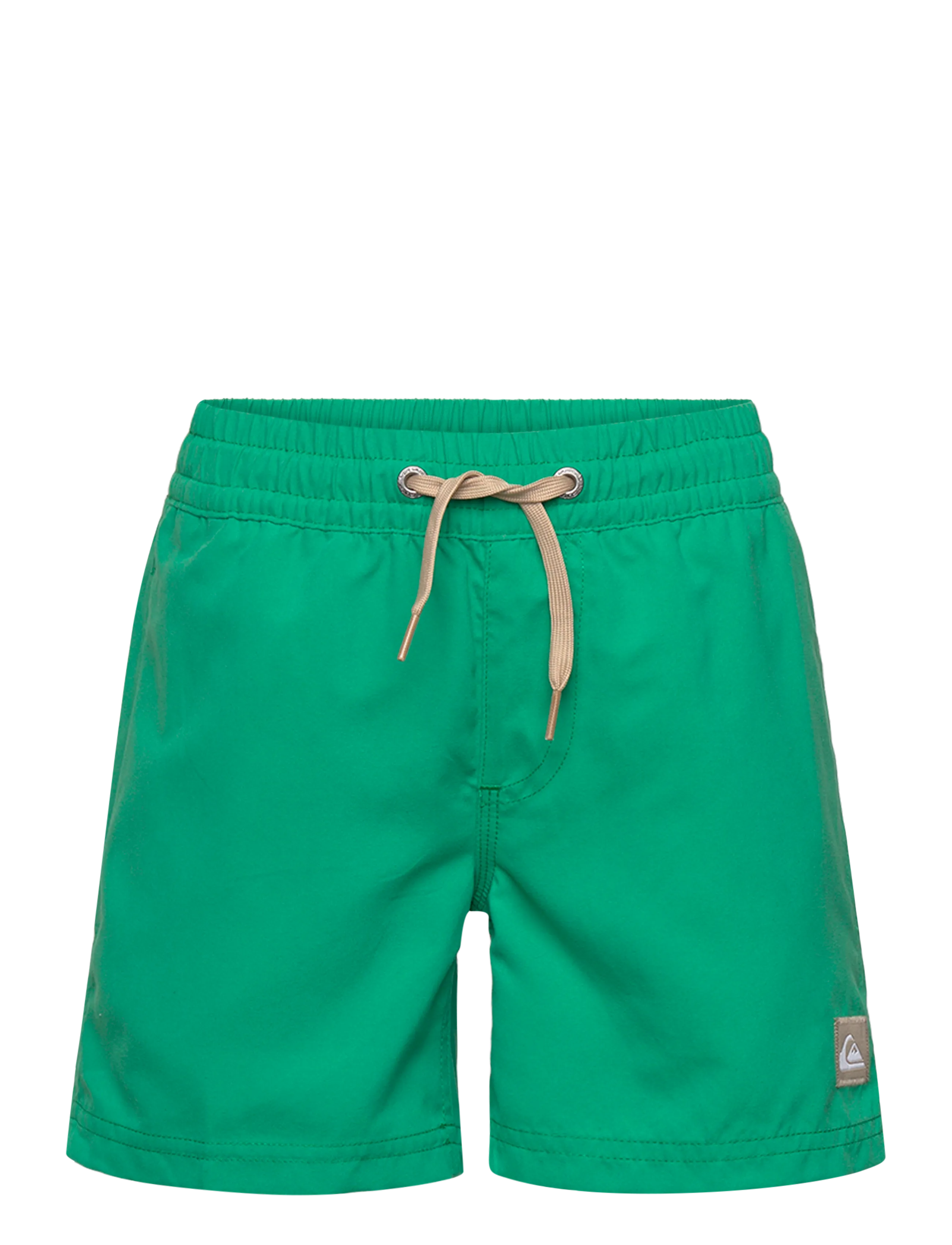 Quiksilver EVERYDAY VOLLEY YTH 14 - Bademode - LEPRECHAUN / green