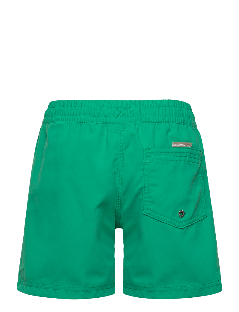 Quiksilver - EVERYDAY VOLLEY YTH 14 - badebukser - leprechaun - 2