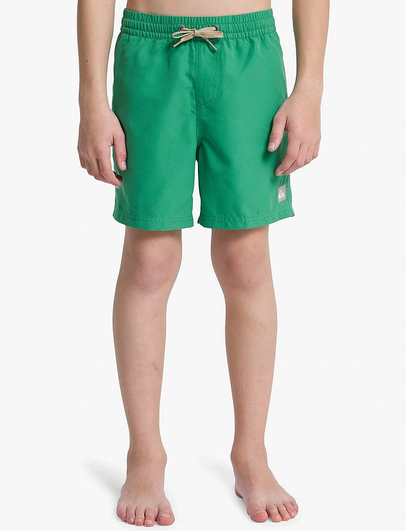 Quiksilver - EVERYDAY VOLLEY YTH 14 - badebukser - leprechaun - 0