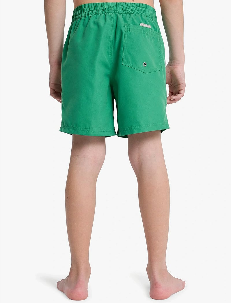 Quiksilver - EVERYDAY VOLLEY YTH 14 - badebukser - leprechaun - 3