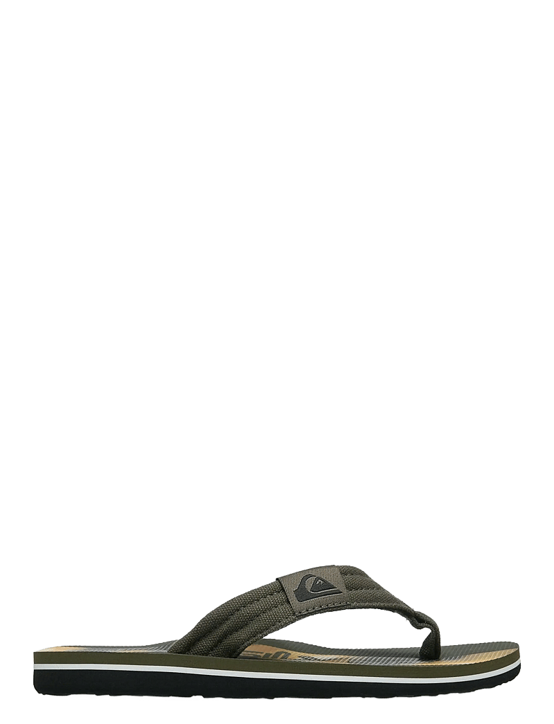 Quiksilver - MOLOKAI LAYBACK 26 YOUTH - flip-flops - grape leaf holmes - 1