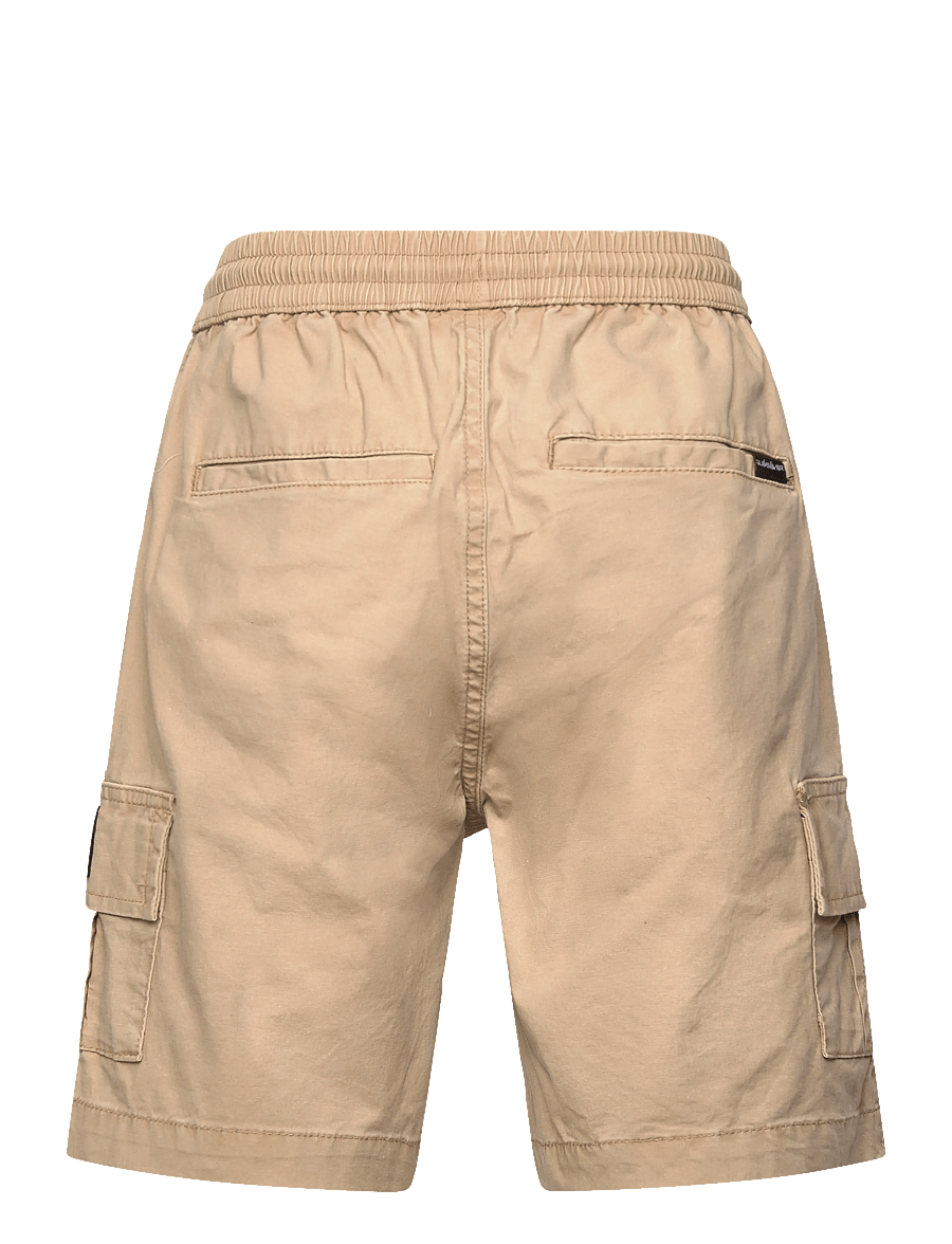 Quiksilver - TAXER CARGO YOUTH NEW - cargo shorts - khaki - 2