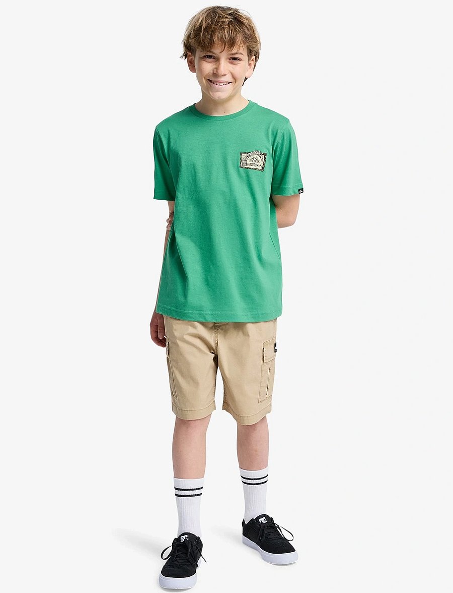 Quiksilver - TAXER CARGO YOUTH NEW - cargo shorts - khaki - 4