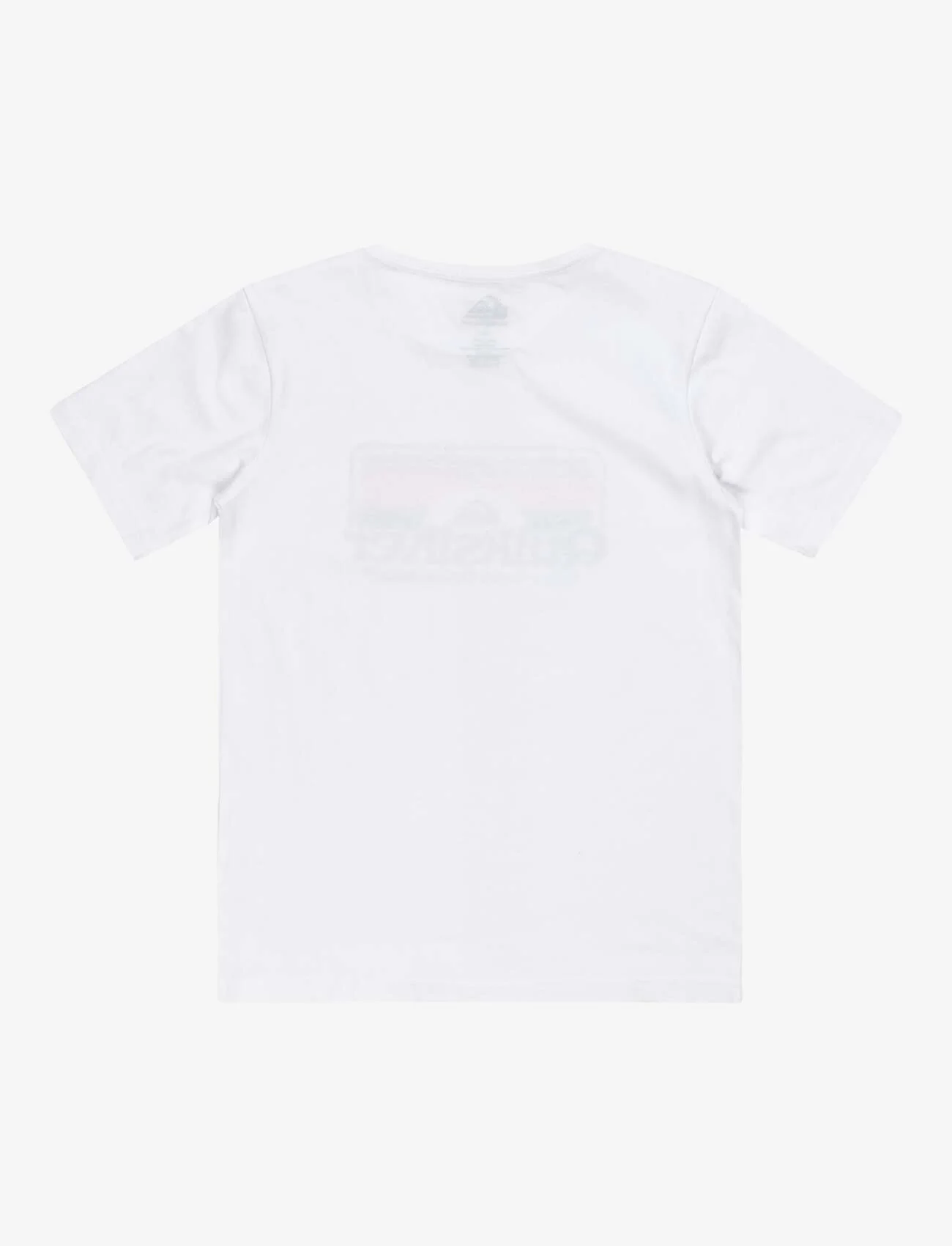 Quiksilver - STEP INSIDE SS YOUTH - kortærmede t-shirts - white - 1