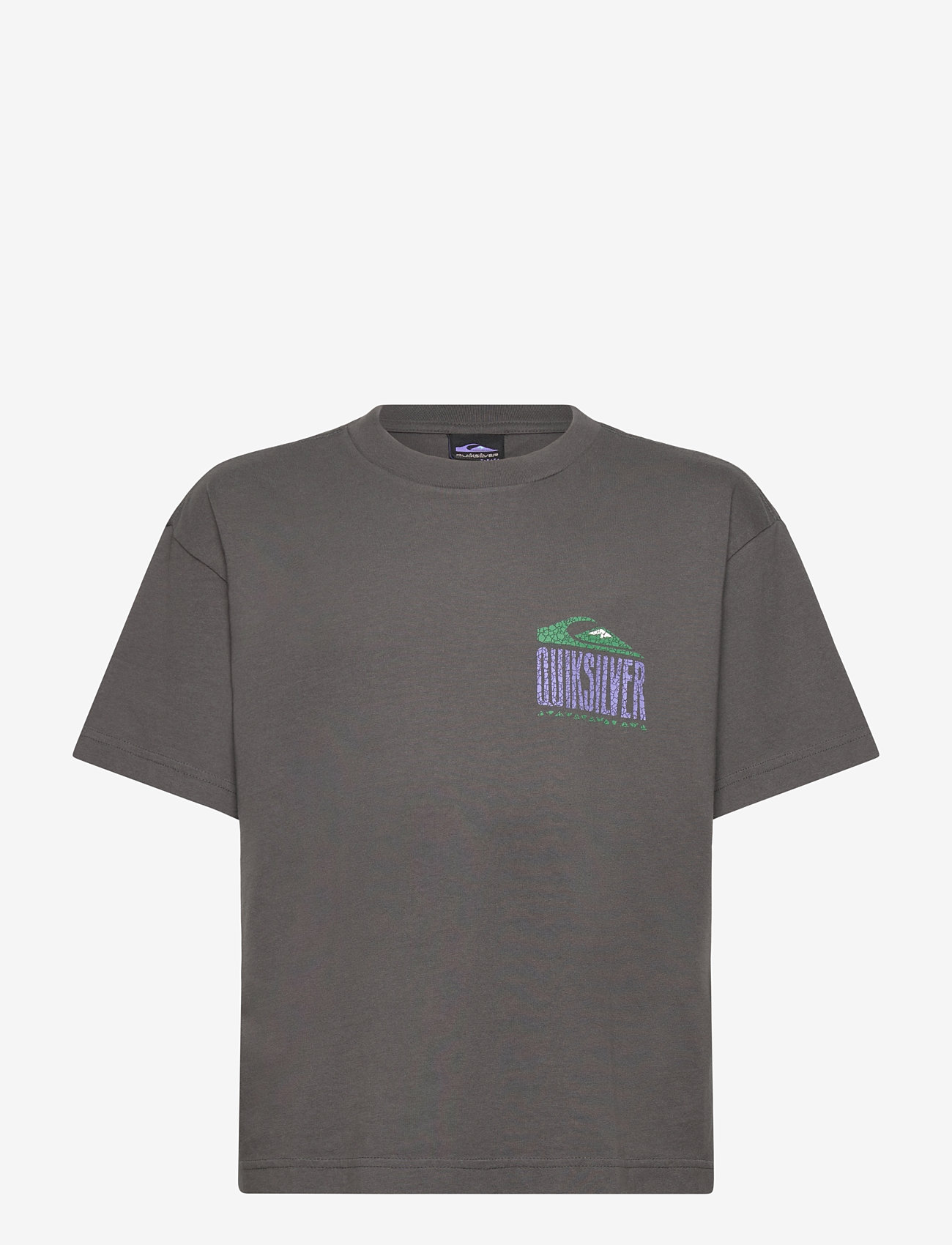 Quiksilver - GH QS WORLD FORCE SS YTH - short-sleeved t-shirts - dark shadow - 1