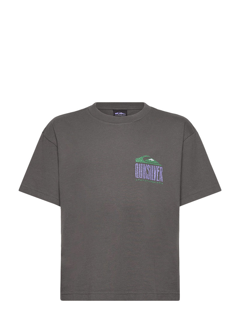 Quiksilver - GH QS WORLD FORCE SS YTH - kortærmede t-shirts - dark shadow - 1