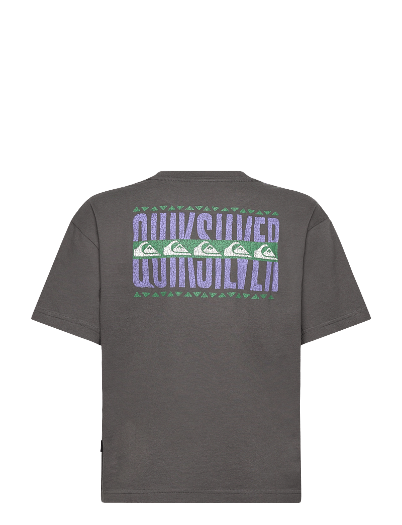 Quiksilver - GH QS WORLD FORCE SS YTH - kortærmede t-shirts - dark shadow - 2