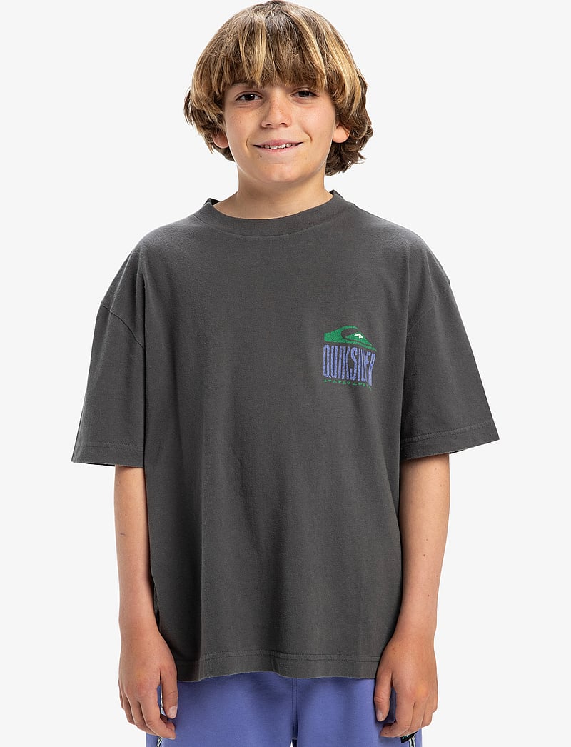 Quiksilver - GH QS WORLD FORCE SS YTH - kortærmede t-shirts - dark shadow - 0