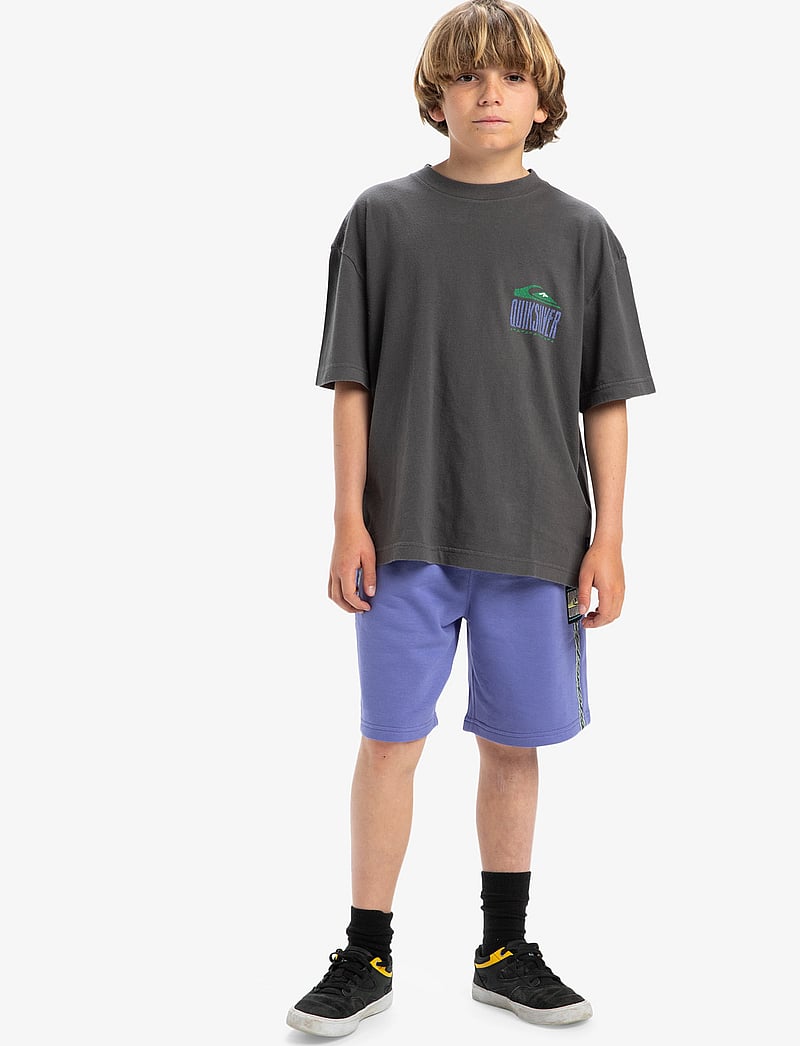 Quiksilver - GH QS WORLD FORCE SS YTH - kortærmede t-shirts - dark shadow - 4