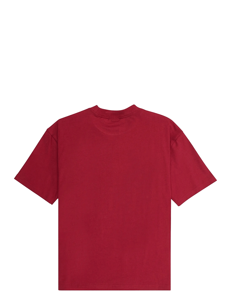 Quiksilver - MERCURY DOUBLE UP SS TEE YTH - kurzärmelige - biking red - 2