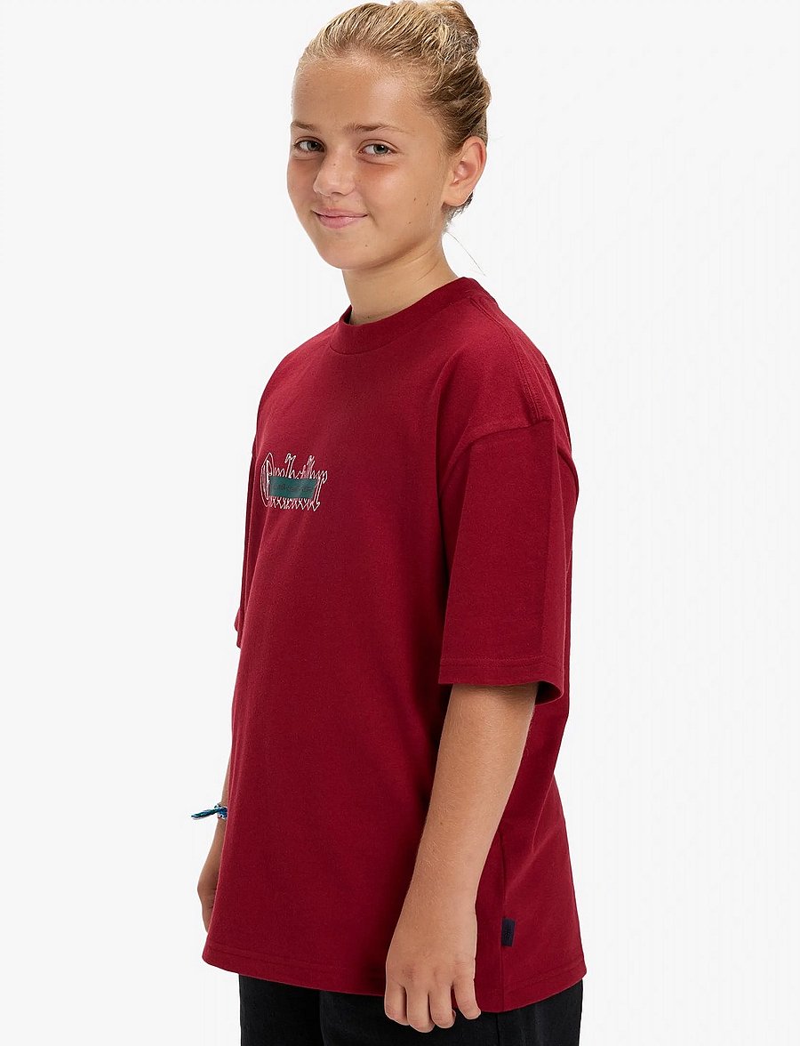 Quiksilver - MERCURY DOUBLE UP SS TEE YTH - kurzärmelige - biking red - 5