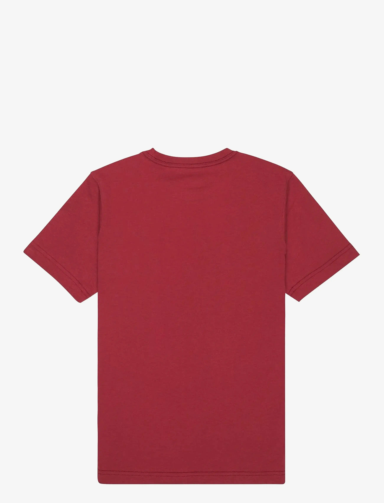 Quiksilver - EV COMP LOGO SS YOUTH - kortærmede t-shirts - burnt russet - 2