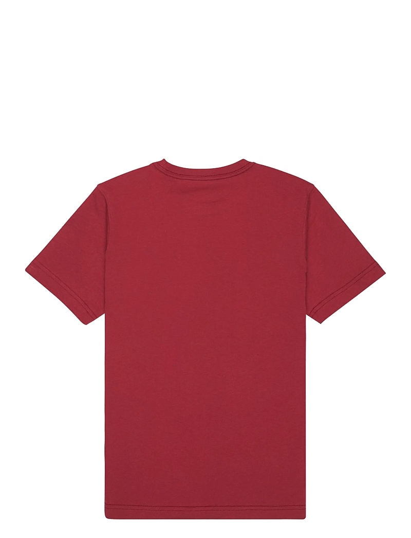 Quiksilver - EV COMP LOGO SS YOUTH - kortærmede t-shirts - burnt russet - 2