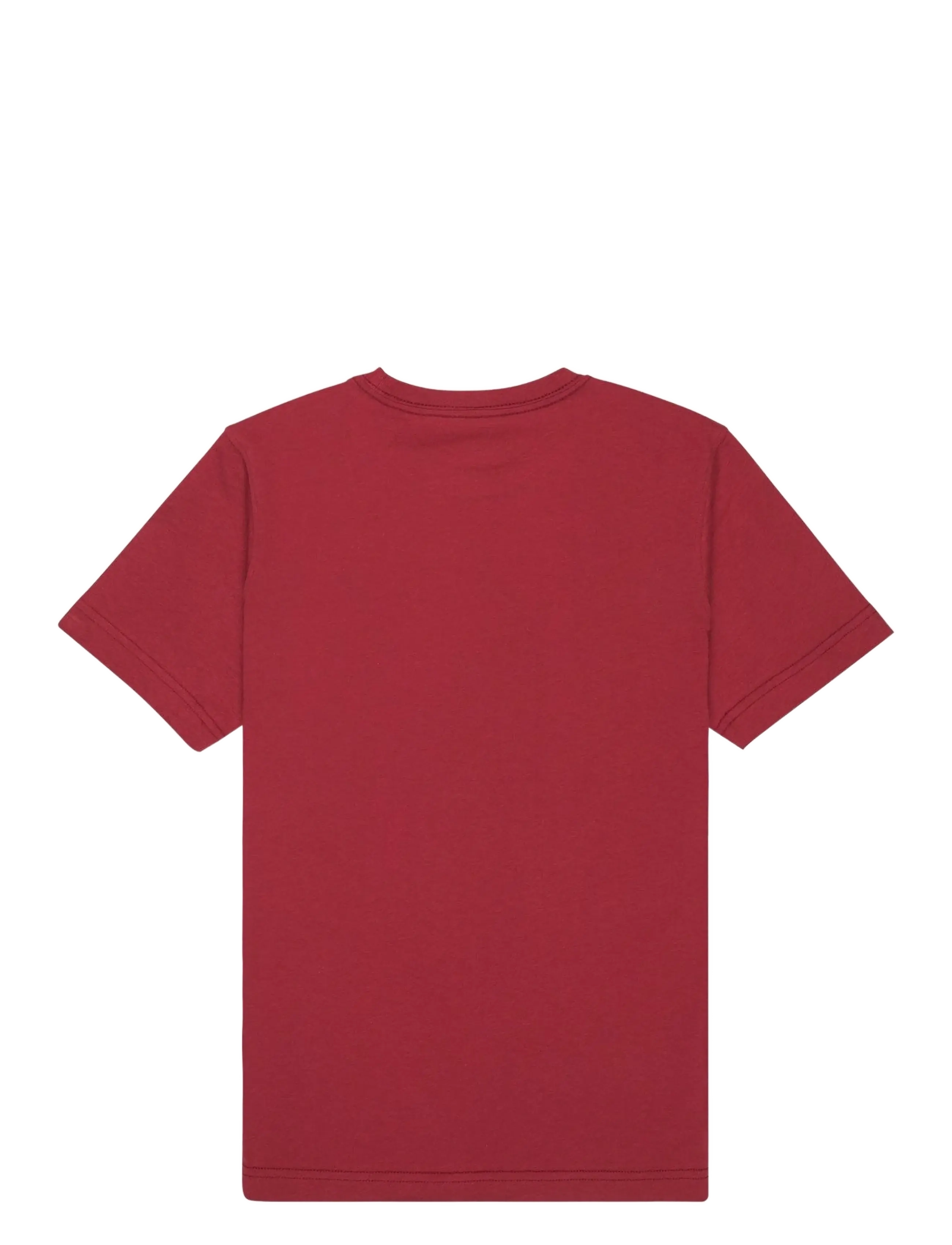 Quiksilver - EV COMP LOGO SS YOUTH - kortærmede t-shirts - burnt russet - 2