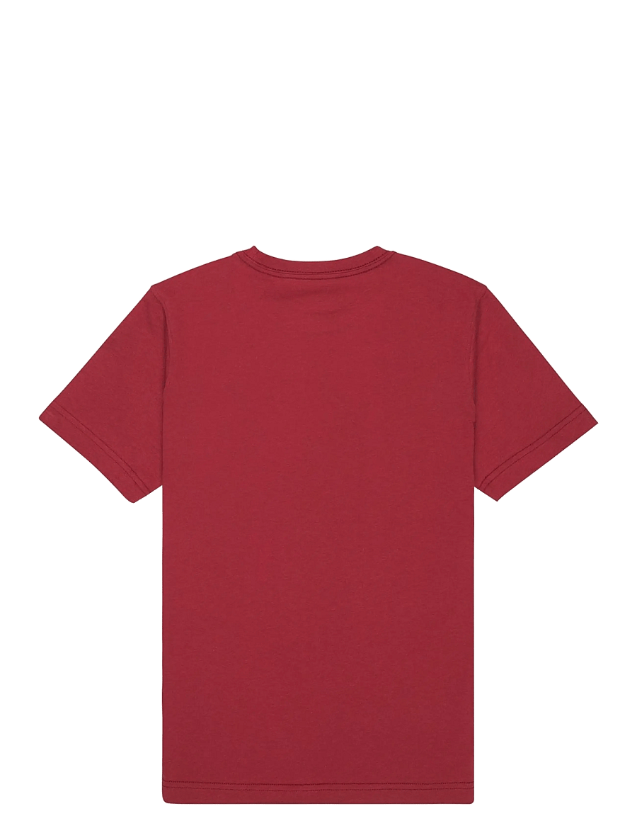 Quiksilver - EV COMP LOGO SS YOUTH - kortærmede t-shirts - burnt russet - 2