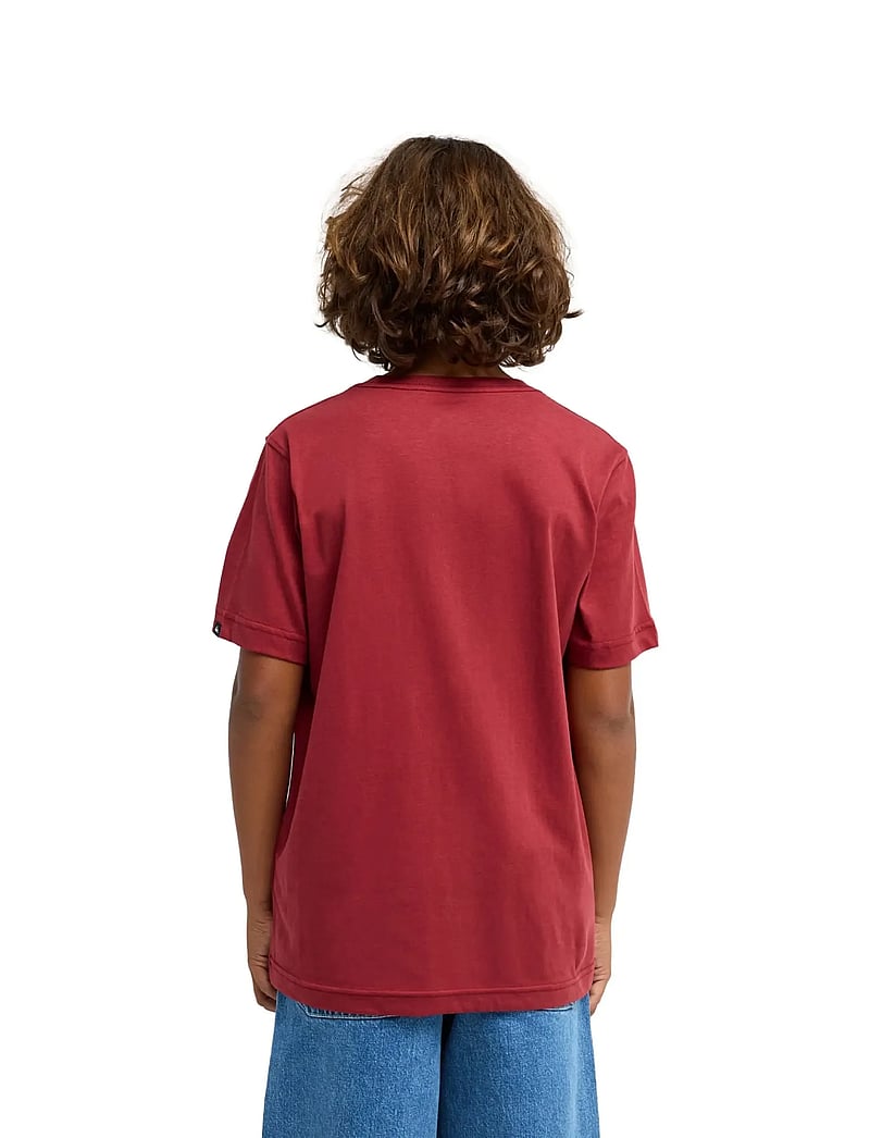 Quiksilver - EV COMP LOGO SS YOUTH - kortærmede t-shirts - burnt russet - 3