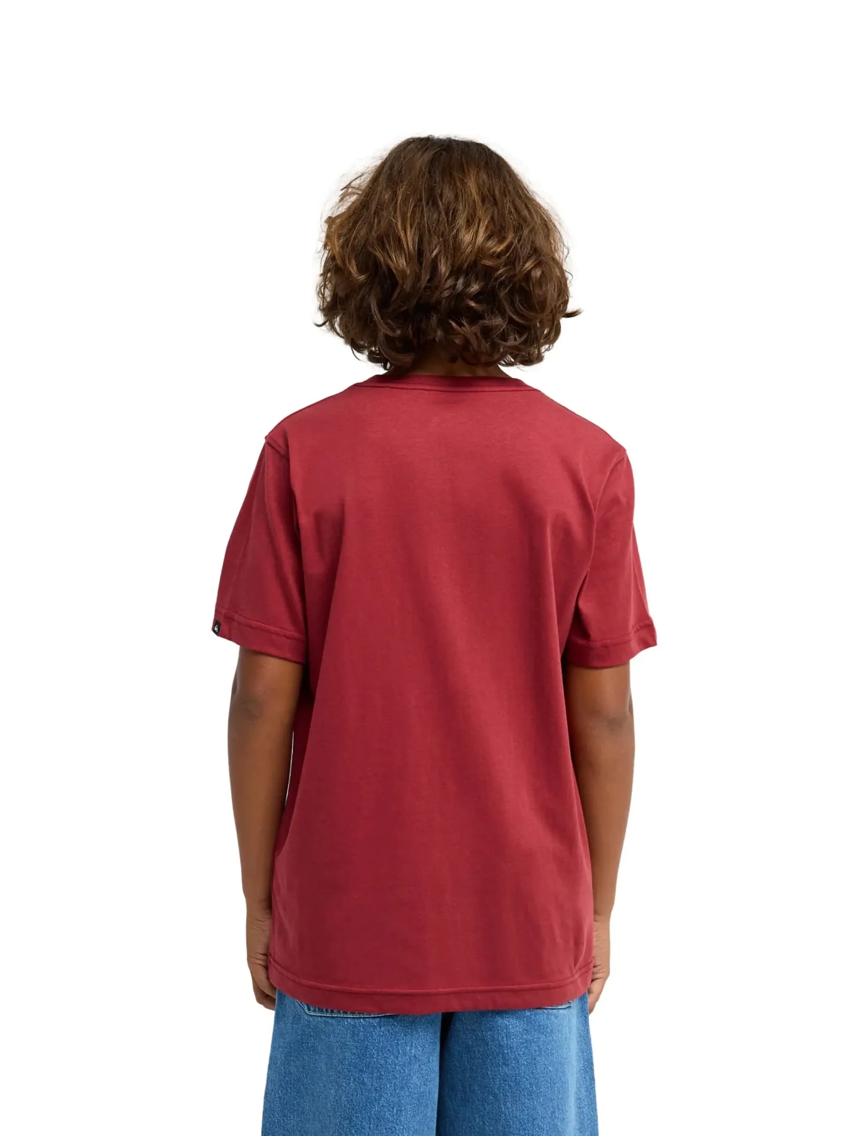 Quiksilver - EV COMP LOGO SS YOUTH - kortærmede t-shirts - burnt russet - 3