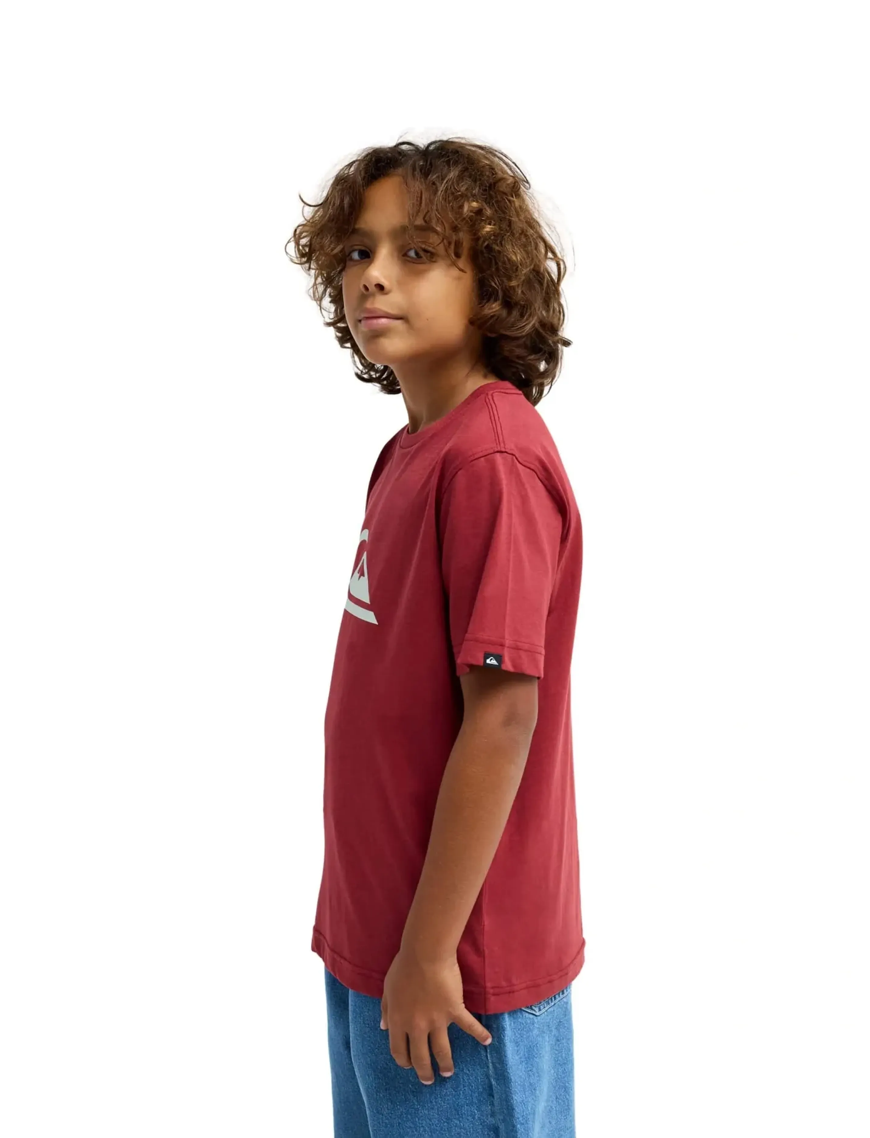 Quiksilver - EV COMP LOGO SS YOUTH - kortærmede t-shirts - burnt russet - 5