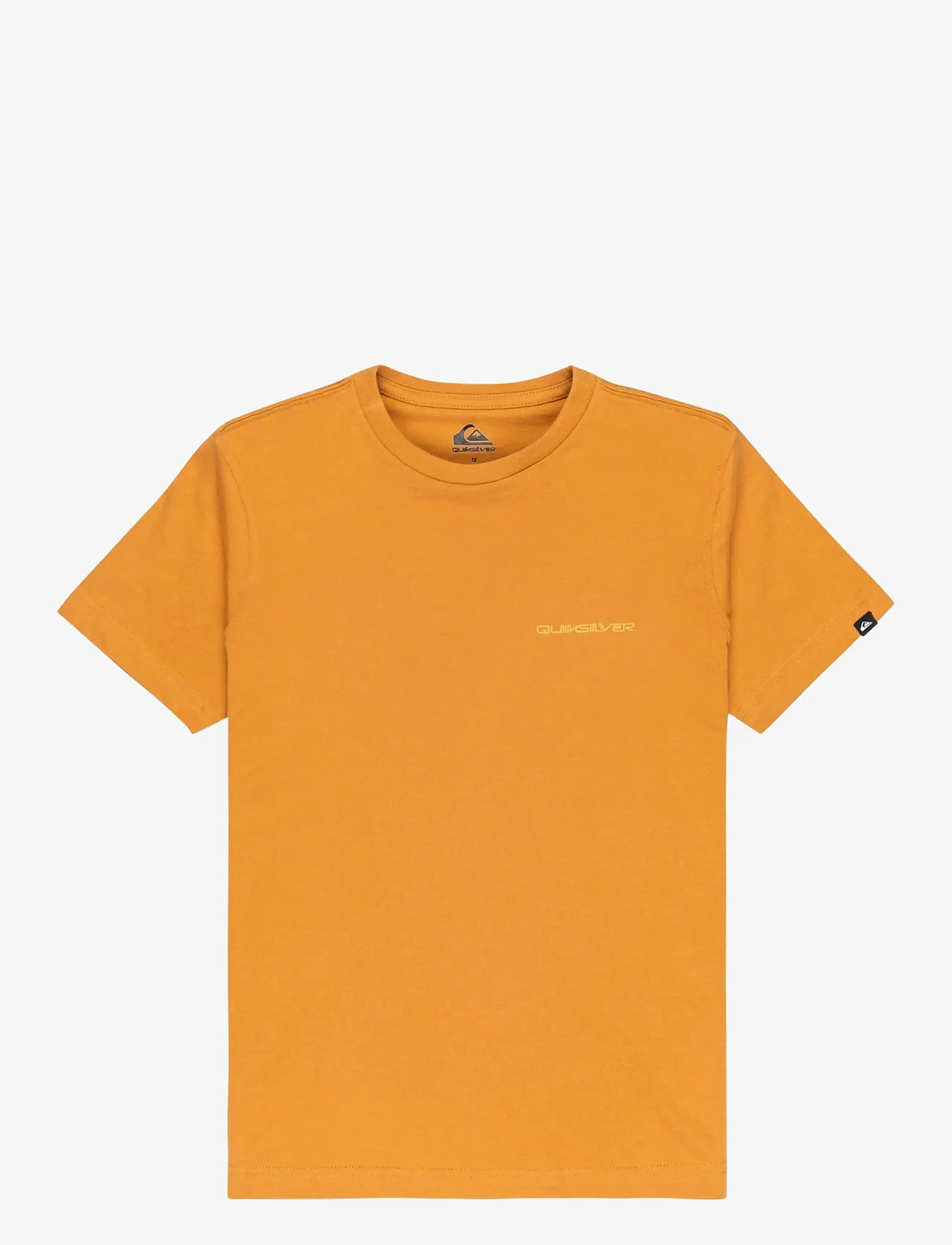 Quiksilver - EV DESERT WAVES SS YOUTH - kortærmede t-shirts - almond - 1