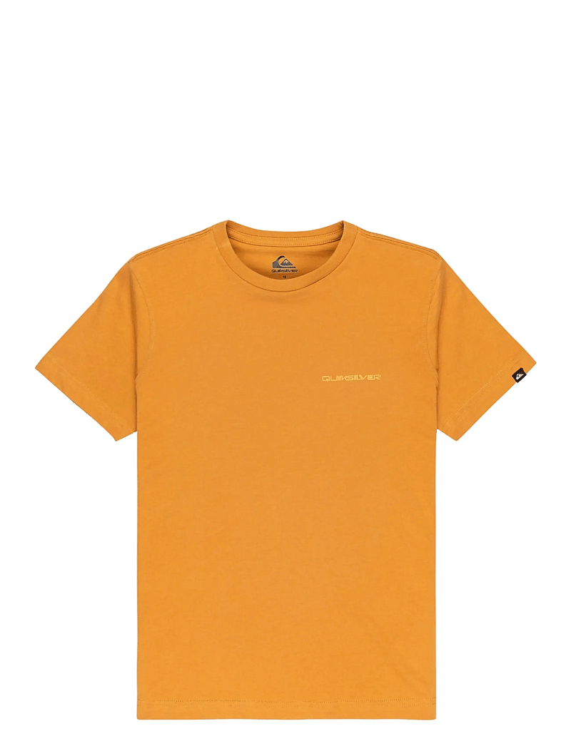 Quiksilver - EV DESERT WAVES SS YOUTH - t-shirts à manches courtes - almond - 1