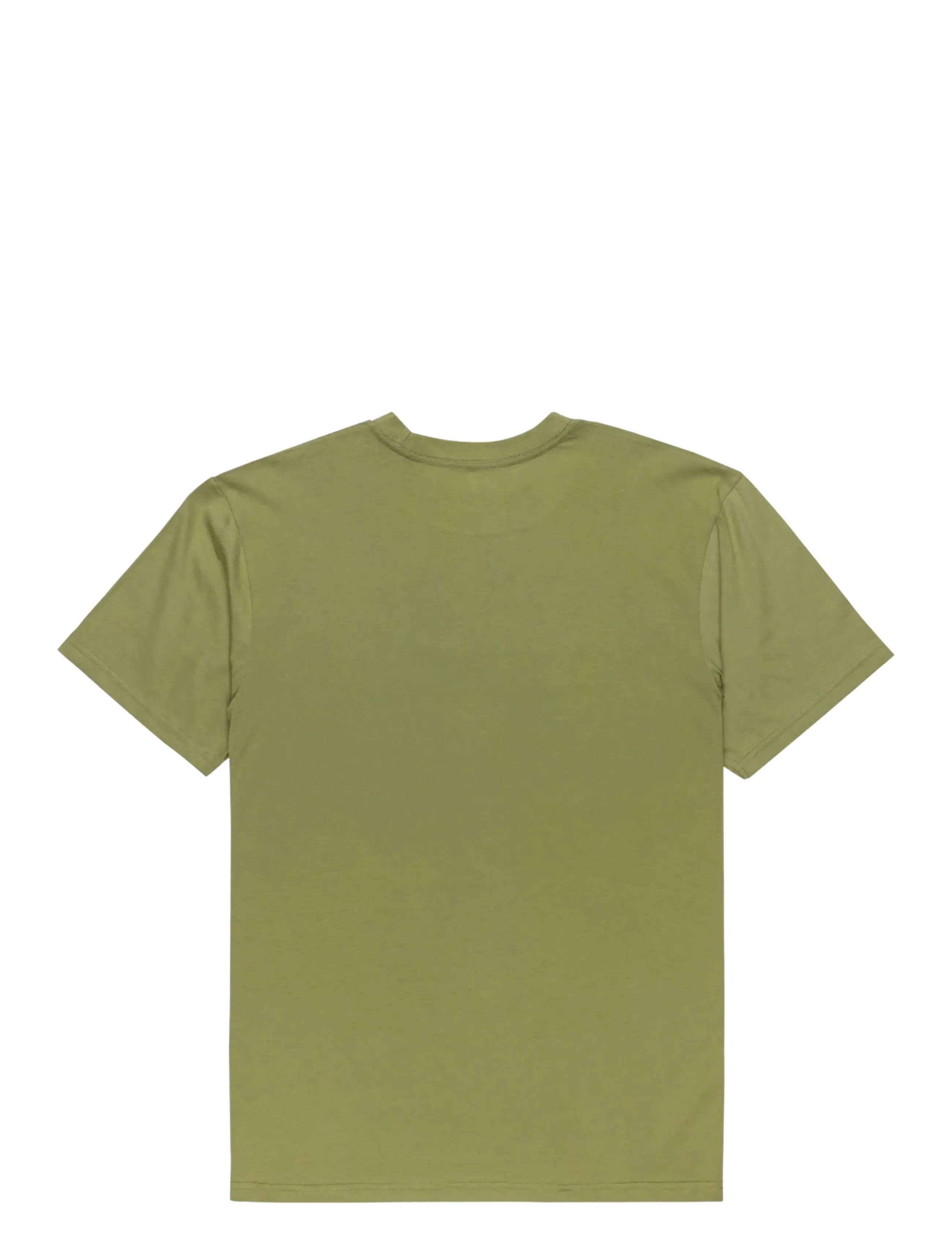 Quiksilver - EV FINELINE SS YOUTH - t-krekli ar īsām piedurknēm - loden green - 1