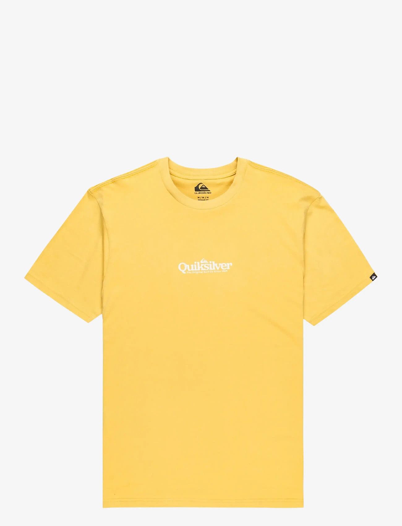 Quiksilver - EV FINELINE SS YOUTH - kortærmede t-shirts - rattan - 0