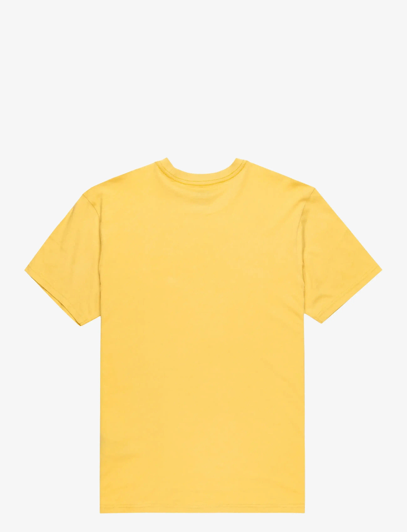 Quiksilver - EV FINELINE SS YOUTH - kortærmede t-shirts - rattan - 1