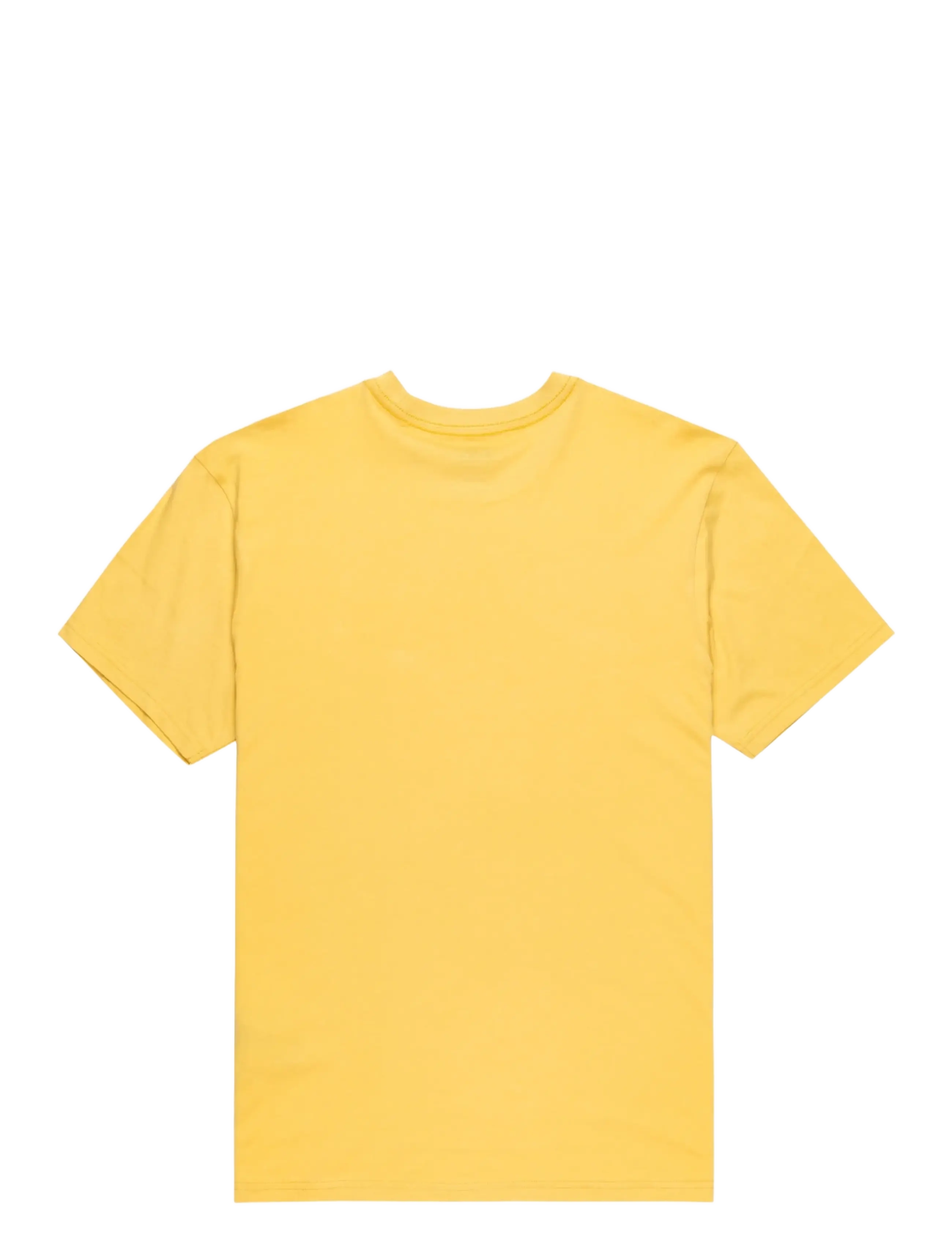 Quiksilver - EV FINELINE SS YOUTH - kortærmede t-shirts - rattan - 1