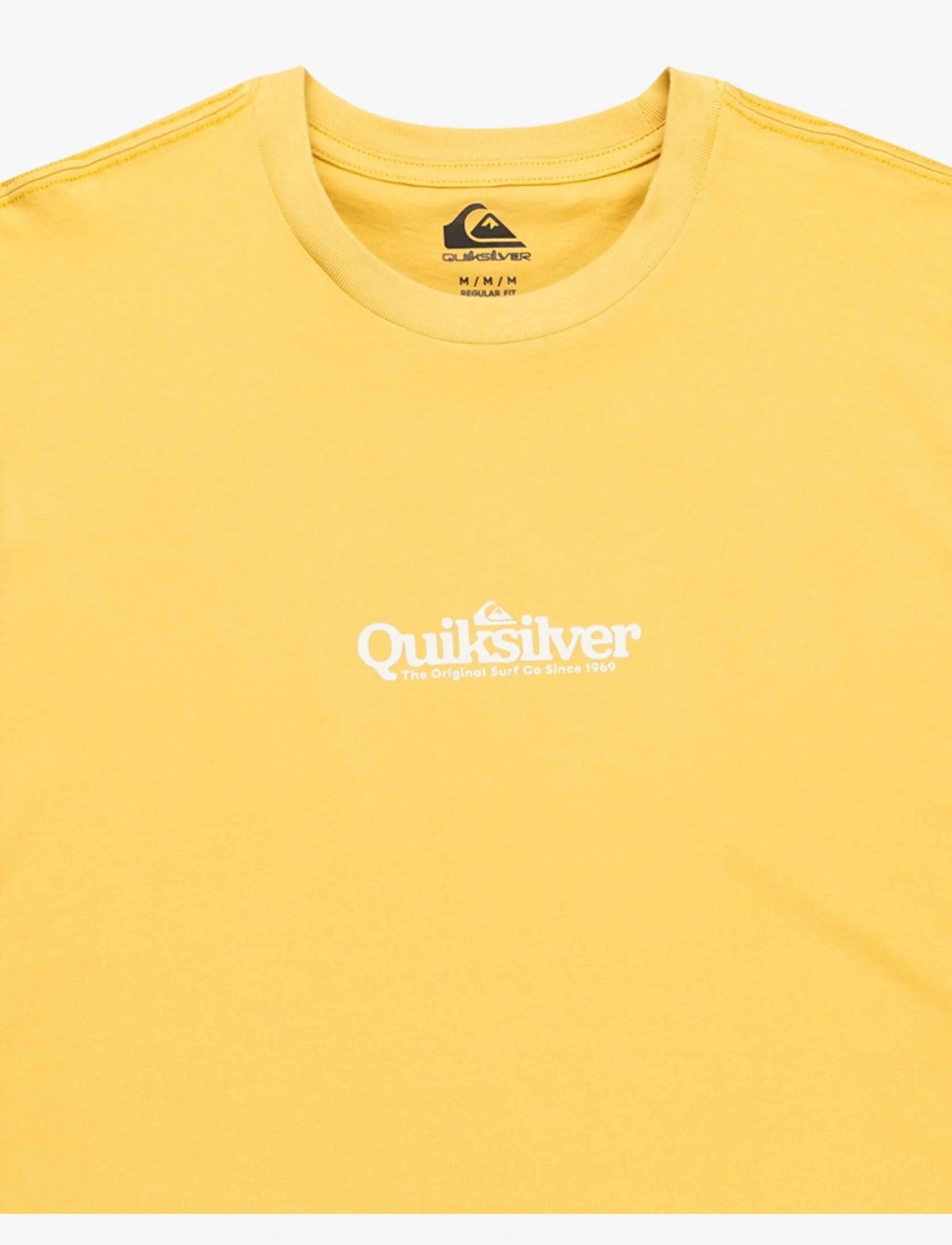 Quiksilver - EV FINELINE SS YOUTH - kortærmede t-shirts - rattan - 2