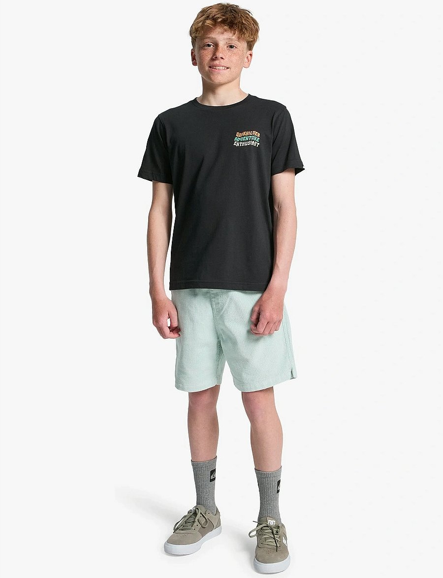 Quiksilver - COSMIC CHARACTER SS - kortärmade t-shirts - black - 4
