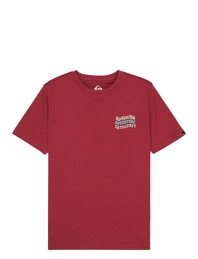 Quiksilver - COSMIC CHARACTER SS - kortærmede t-shirts - burnt russet - 0
