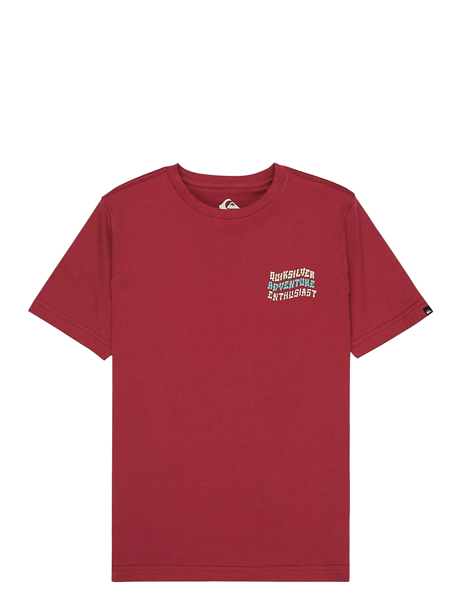 Quiksilver - COSMIC CHARACTER SS - kortærmede t-shirts - burnt russet - 0
