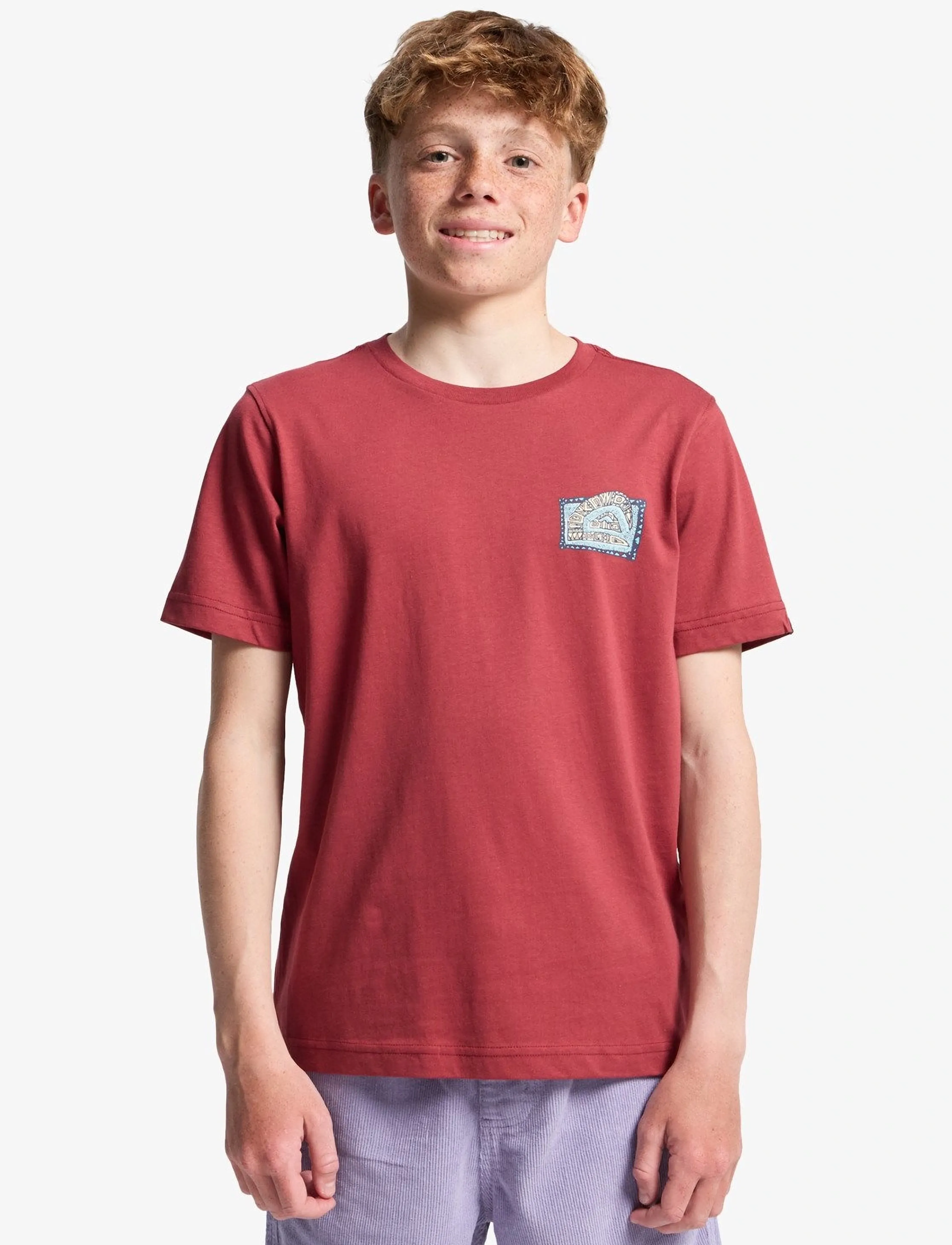 Quiksilver HERITAGE SS - T-shirts - BURNT RUSSET / burgundy