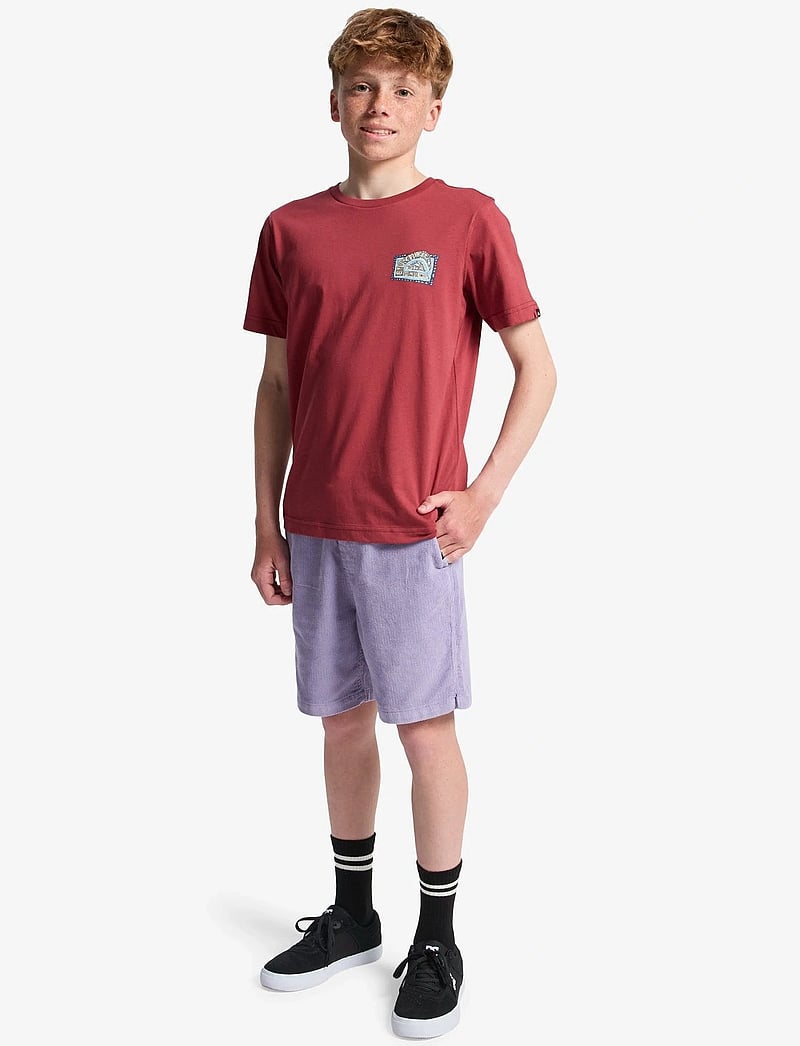 Quiksilver - HERITAGE SS - marškinėliai trumpomis rankovėmis - burnt russet - 4