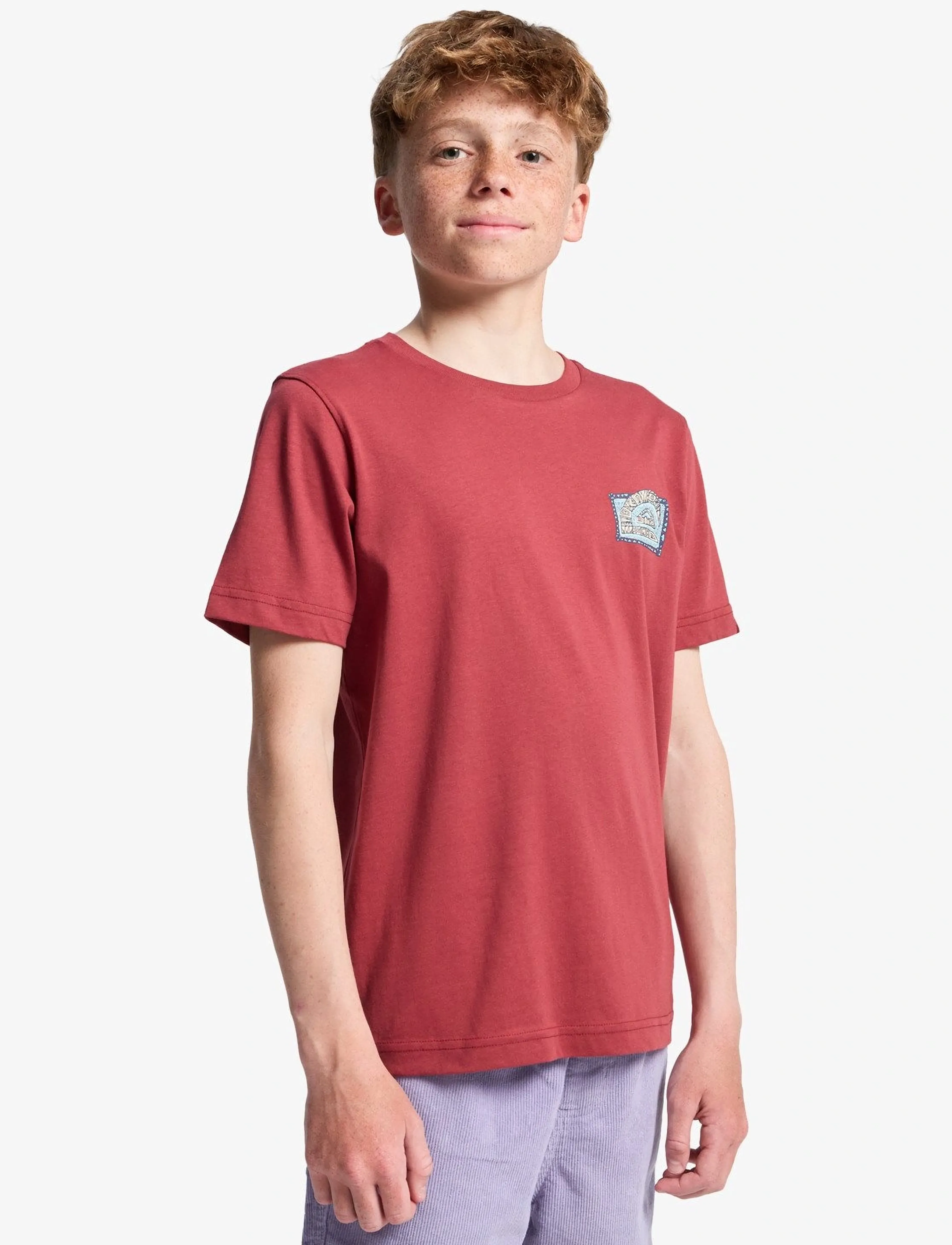 Quiksilver - HERITAGE SS - lühikeste varrukatega t-särgid - burnt russet - 5