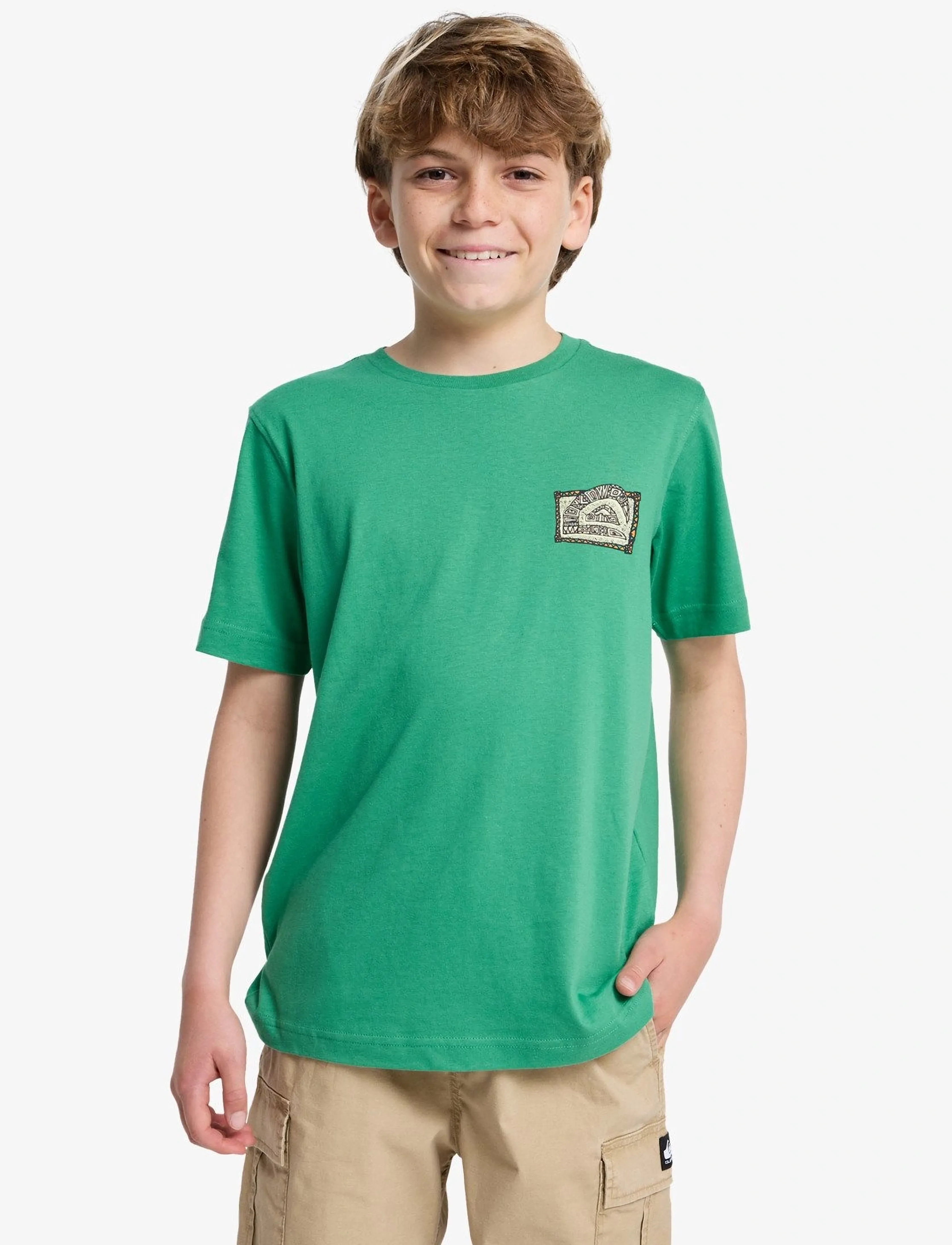 Quiksilver HERITAGE SS - T-shirts - LEPRECHAUN / green