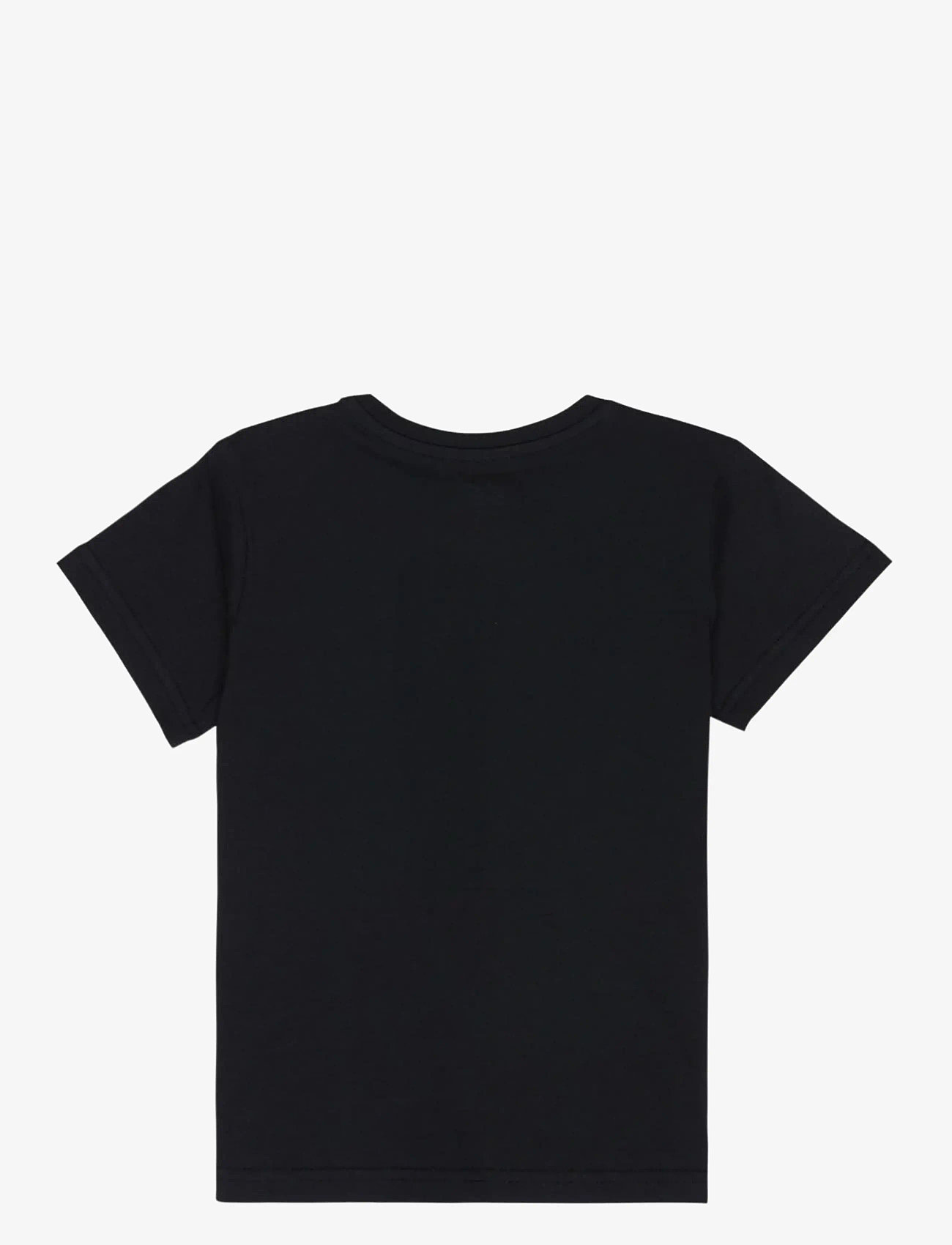 Quiksilver - EV PALM HORIZON SS BOY - short-sleeved t-shirts - black - 1