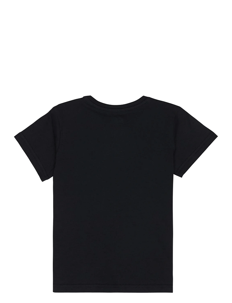 Quiksilver - EV PALM HORIZON SS BOY - kortærmede t-shirts - black - 1