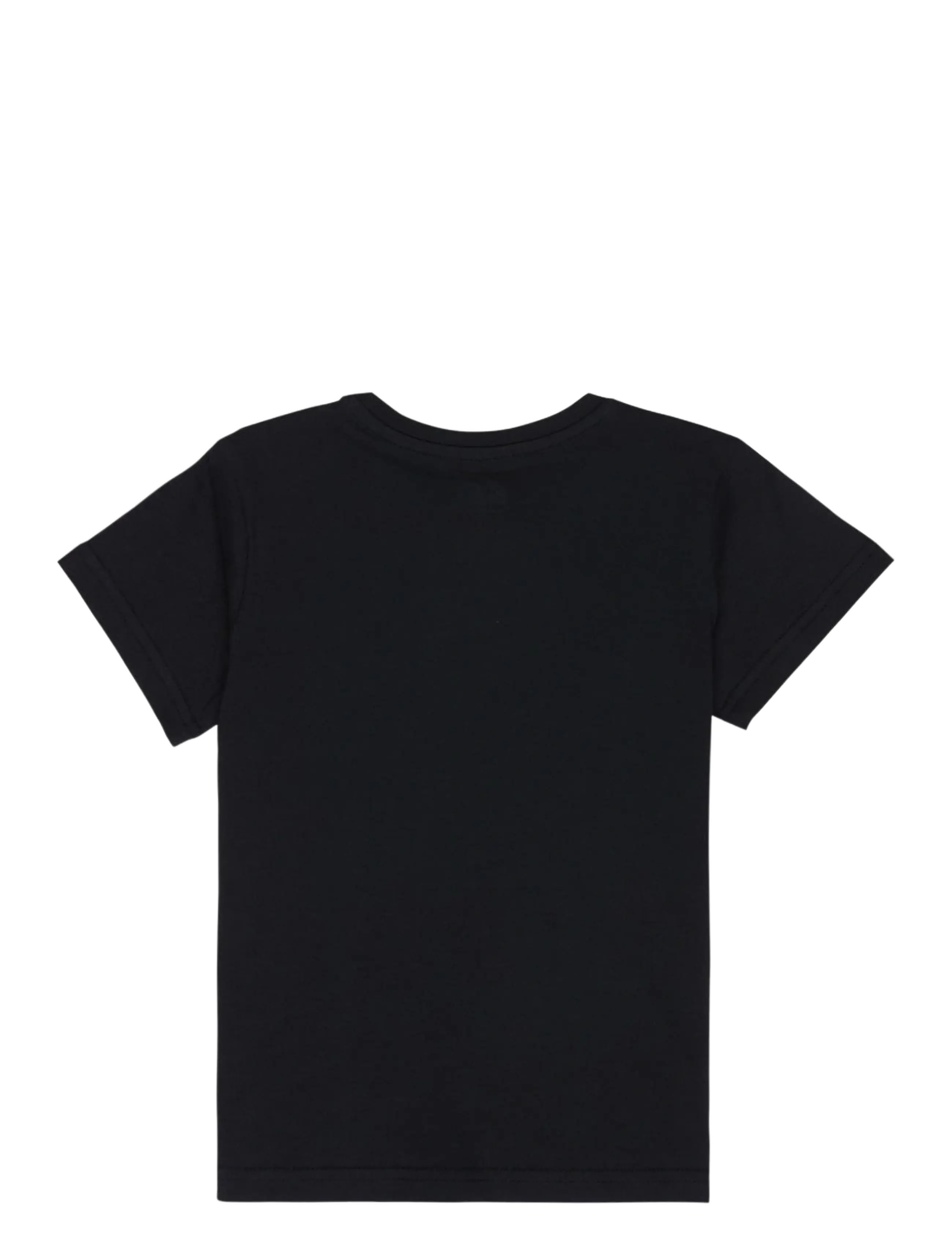 Quiksilver - EV PALM HORIZON SS BOY - kortärmade t-shirts - black - 1