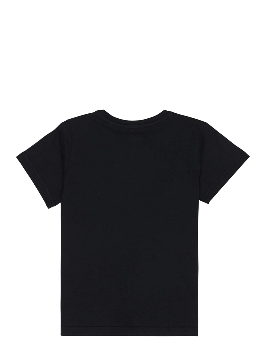 Quiksilver - EV PALM HORIZON SS BOY - kortärmade t-shirts - black - 1