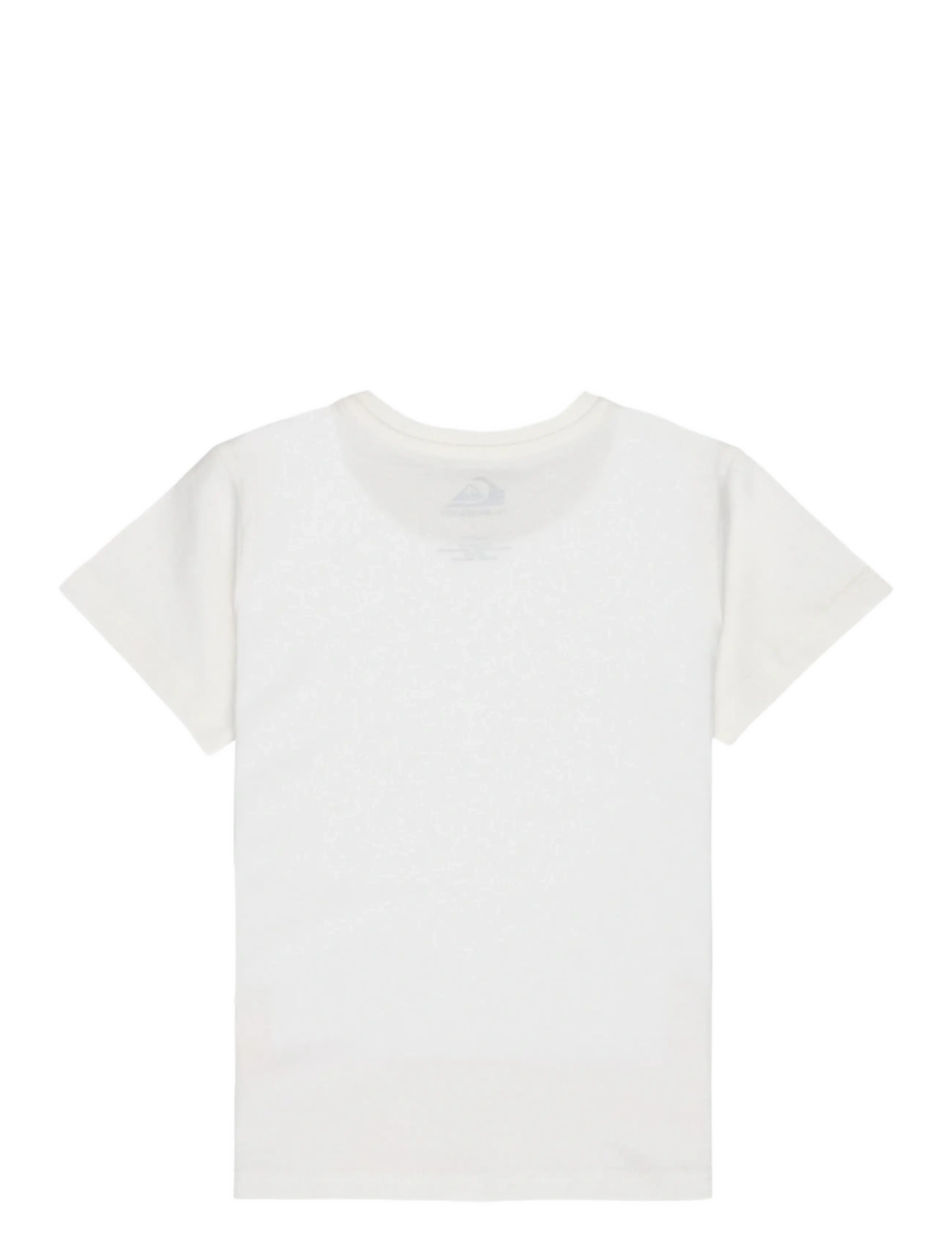 Quiksilver - EV PALM HORIZON SS BOY - kortærmede t-shirts - snow white - 1