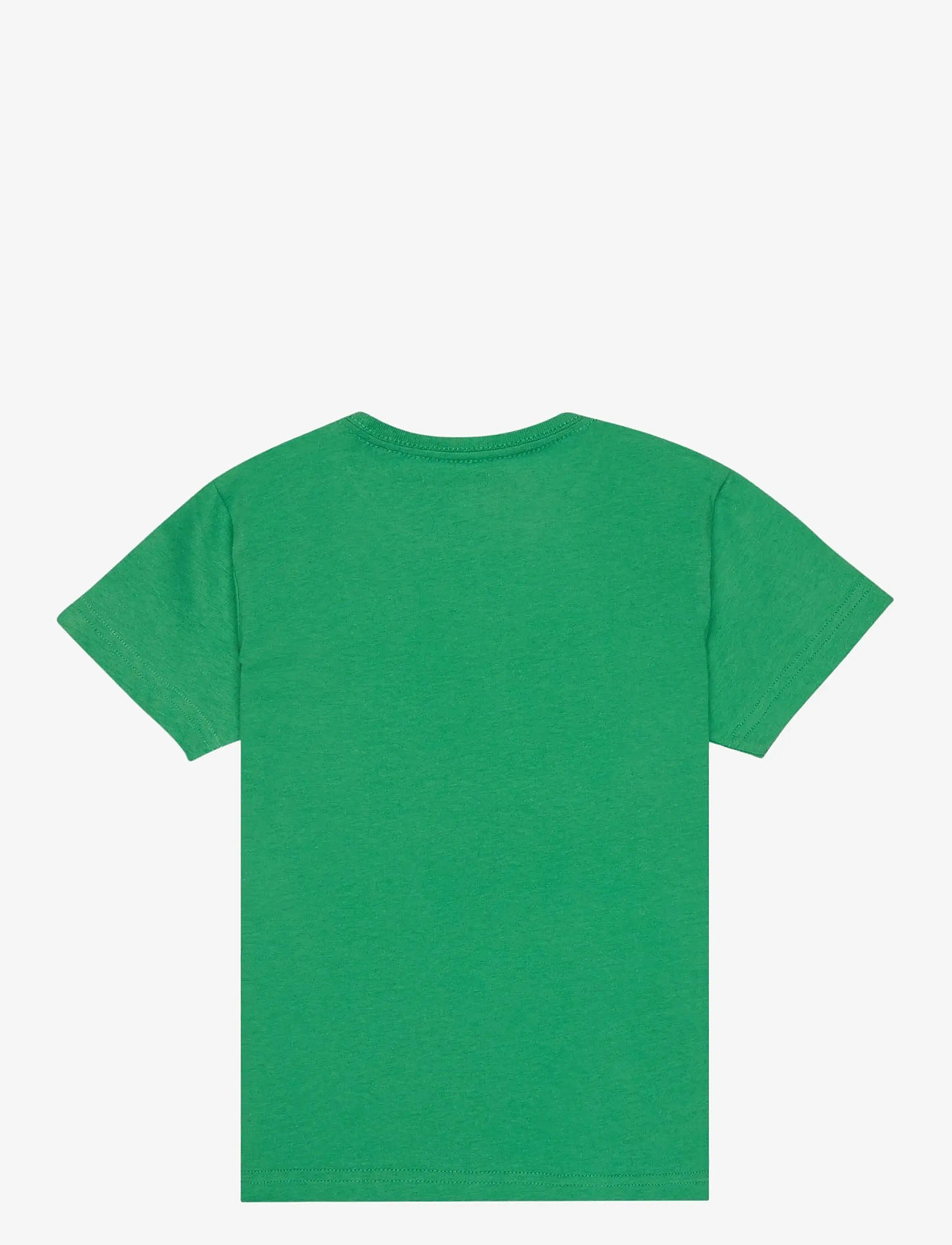 Quiksilver - EV HUMAN WAVE SS BOY - short-sleeved t-shirts - leprechaun - 1