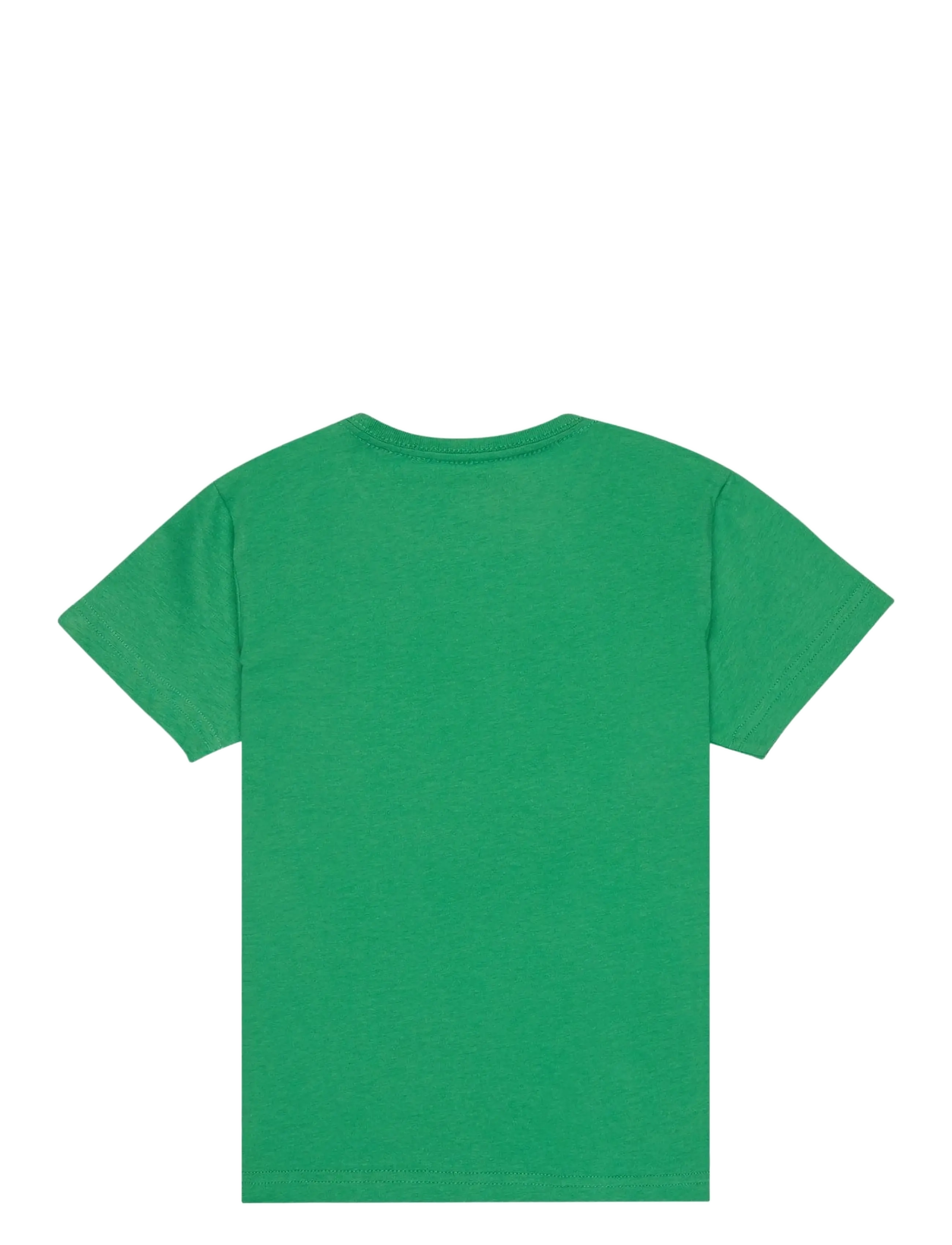 Quiksilver - EV HUMAN WAVE SS BOY - kurzärmelig - leprechaun - 1